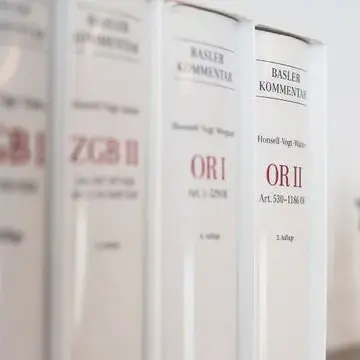 schwarz-neuenschwander-gesellschaftsrecht
